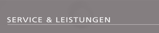 Headline Service & Leistungen